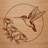 Free Vector Bird Design Download A colorful hummingbird illustration in vector format, suitable for various graphic design applications.