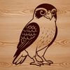 Falcon SVG Design for Cutting Machines A detailed illustration of a bird in flight, identified as a falcon.
