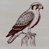 Regal Falcon Silhouette Vector Art A detailed illustration of a falcon in flight, designed as vector art for commercial and personal use.