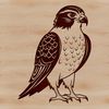 Falcon Illustration in SVG Format A stylized illustration of a bird of prey, specifically a falcon, suitable for commercial or personal use.