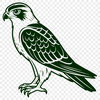 Bird of Prey SVG Cut File Template A vector graphic representation of a bird of prey, ideal for cutting machines like Cricut or laser engraving.