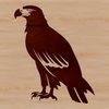 An illustration of a perched eagle, a wild bird of prey, with outstretched wings.