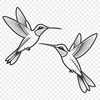 Bird Illustration for Vector Art Designs Illustrated hummingbird bird with vibrant plumage, suitable for vector art designs.