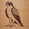 Detailed Falcon Vector Graphic Design A detailed illustration of a falcon in flight, suitable for various uses including commercial projects.