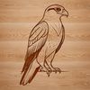 Free Falcon Illustration Download A vector graphic representation of a bird of prey, specifically a falcon, designed for various uses.