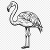 Free Beautiful Flamingo Vector Craft File