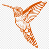 Unique Hummingbird In DXF Format