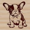 Compact Dog Breed SVG Design A small dog breed illustration with a compact body and friendly face.