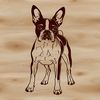 Vector Dog Standing on Hind Legs A standalone vector illustration of a Boston Terrier dog standing on its hind legs.