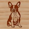 Cute Sitting Dog Vector Clip Art A sitting Boston Terrier breed dog in a simple vector design.
