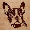 Boston Terrier Close-up Vector Illustration Close-up illustration of a Boston Terrier's head, featuring a vector design suitable for commercial or personal use.