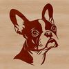 Boston Terrier Illustration A head-on illustration of a Boston Terrier dog breed with a distinctive outline.