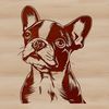 Cute Canine Line Art Simple line art design of a Boston Terrier animal