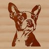 Distinctive Head Shape Dog Icon A small breed dog with a distinctive head shape.