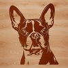 Boston Terrier Portrait Illustration A close-up of a Boston Terrier's head with a distinctive short muzzle.
