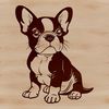 Vector graphic representation of a cute Boston Terrier animal sitting on its haunches.