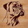 Facial Features of a Boxer Breed A detailed illustration of a Boxer's head with distinctive facial features.