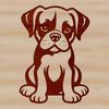 A cute Boxer dog breed sitting on the floor.