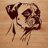 A detailed illustration of a dog's head, specifically a Boxer breed, suitable for use in various design projects.
