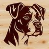 A illustration of a Boxer dog's head, suitable for vector design projects.