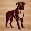 A standing dog breed with a short coat and distinctive facial features, ideal for vector art designs.