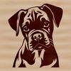 Beautiful Boxer Illustration A close-up illustration of a Boxer's head, featuring the breed's distinctive facial features.