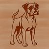 Vector Illustration of a Boxer Dog A detailed illustration of a standing Boxer dog with a sturdy build and distinctive face.