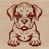 A sitting adult Boxer dog with a calm expression.