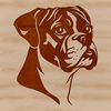 A illustration of a male dog with a short coat and distinctive face.
