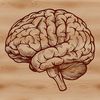 Detailed design of a human brain used as clip art for crafting and cutting projects.