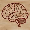 SVG Brain Diagram Vector Art A detailed illustration of the human brain's anatomy, showcasing its various structures and features.