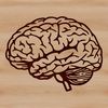 Brain Diagram Vector Graphic Detailed SVG diagram of the brain's structure and layout.