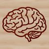 Detailed Brain Image SVG File A detailed illustration of the human brain anatomy, created as a vector graphic.