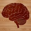 Anatomical illustration of the human brain in a simplified vector design.