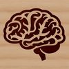 An anatomical illustration of the human brain, created in vector format.