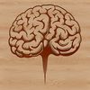 Brain Structure Vector Artwork Detailed illustration of the human brain anatomy