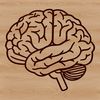 Beautiful Human Body SVG Design High-quality digital illustration of the human brain's anatomy, ideal for educational and creative purposes.