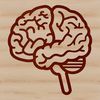Anatomical Line Art Brain A simple line drawing of a human brain, illustrating its anatomical structure.