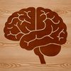 Neuroanatomy Illustration Anatomical illustration of the human brain, with detailed structure and layers.