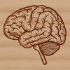 High-Res Human Body SVG Image High-resolution illustration of the human brain's internal anatomy.
