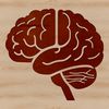 Anatomical illustration of the human brain, depicted in vector format for easy editing.