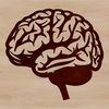 Brain Anatomy SVG Illustration A detailed representation of the human brain as a scalable vector graphic (SVG).
