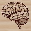 High-Res Brain Graphic A high-resolution scalable graphic representation of a brain, suitable for various design applications.