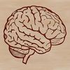 Brain Anatomy SVG Vector A detailed vector illustration of the brain's structure and layout.