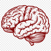 Brain Printable Image In SVG, PNG, PDF And DXF Formats