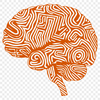 Ornate Brain Printable Image In PNG For Free Download