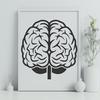 Beautiful Brain - Human Body PNG