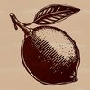 Citrus Delight Illustration A high-quality illustration of a single lemon fruit in a simple style.