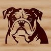 Vector Bulldog Face Graphic Design A vector illustration of a bulldog's head with wrinkles and folds.
