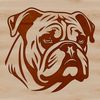 Close-up depiction of a bulldog's facial features, ideal for digital designs.